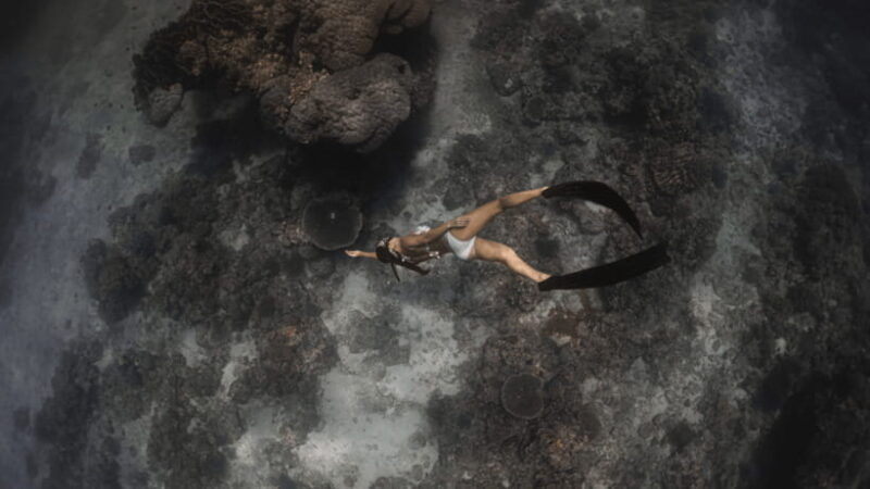 discover-freediving-in-boracay