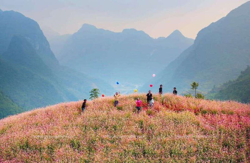 discover-ha-giang-dong-van-stone-plateaunho-que-river-2day