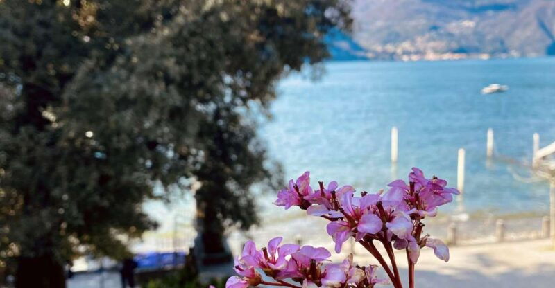 discover-lake-como-bellagio-with-a-local-2