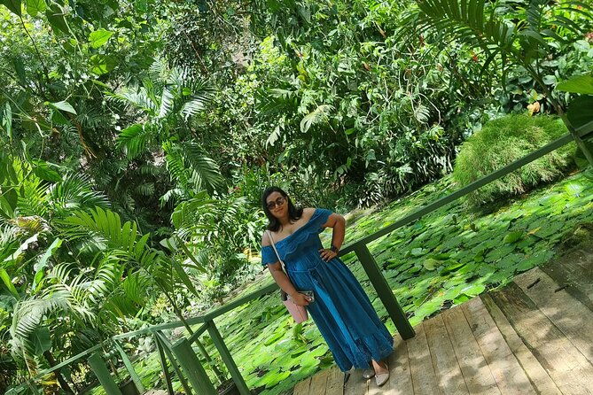 Discover Nadi Fiji Private Tour (All Fees Included) - Transportation and Practicalities