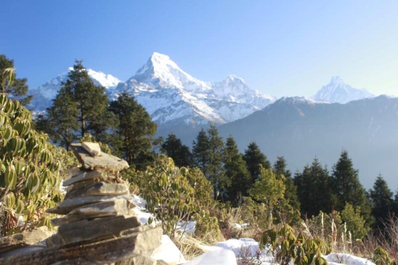 discover-nepal-12-day-trekking-and-wildlife-expedition