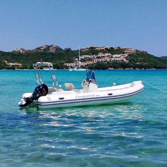 discover-sardinia-dolphin-watching-and-capo-figari-tour