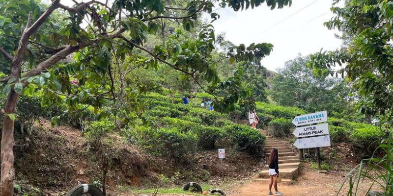 discover-the-best-of-sri-lanka-in-2-days