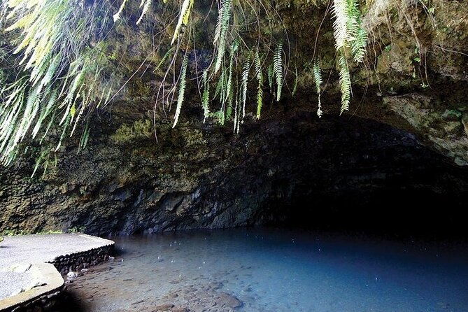 Discovery of the West Coast of Heipoerau Half Day Private - What’s Included and What’s Not