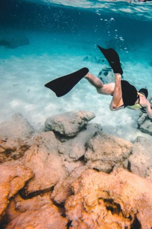 divesnap-underwater-sports-thrillslantern-point-p31-wreck