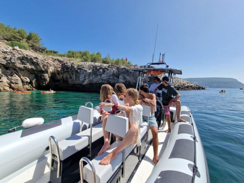 dolphin-watching-sesimbra-arrabida-natural-park