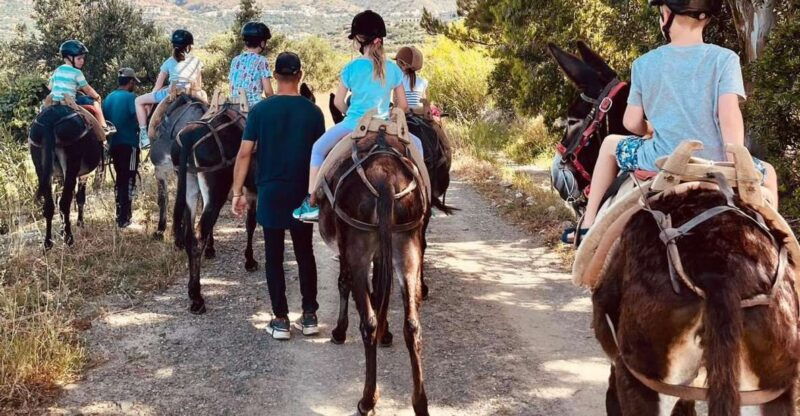 donkey-ride-cretan-country