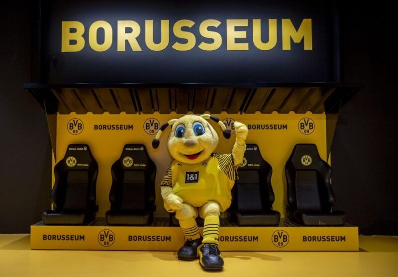 dortmund-borussia-dortmund-museum-entry-ticket