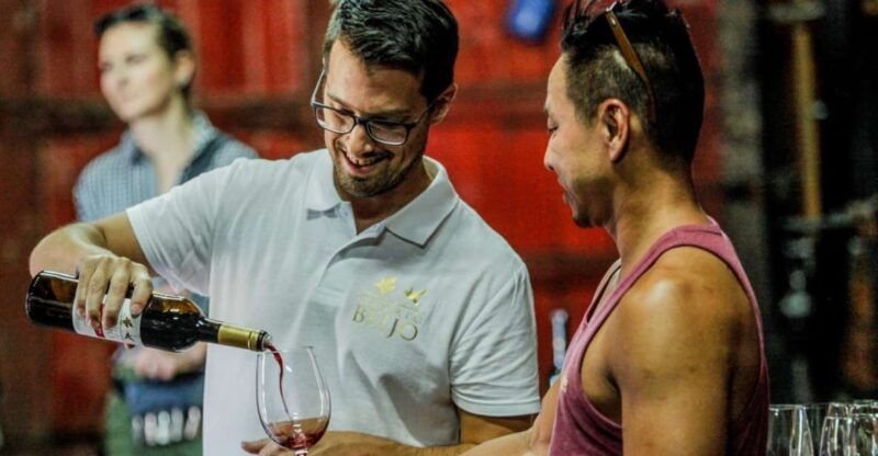 douro-classic-wine-tasting-with-guided-tour