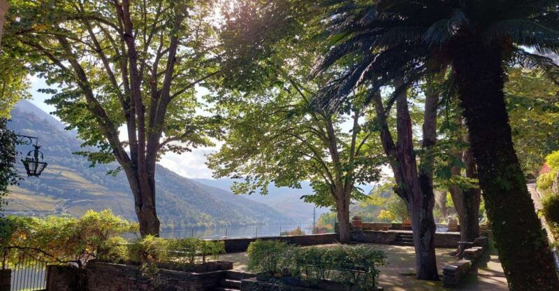 douro-valley-pinhao-quinta-da-foz-tourtasting-5-wines