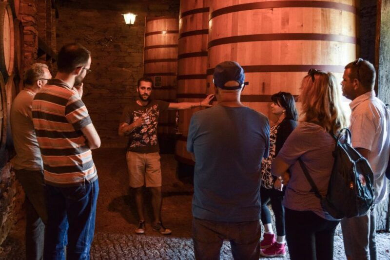 douro-valley-quinta-do-tedo-wine-experience-with-picnic