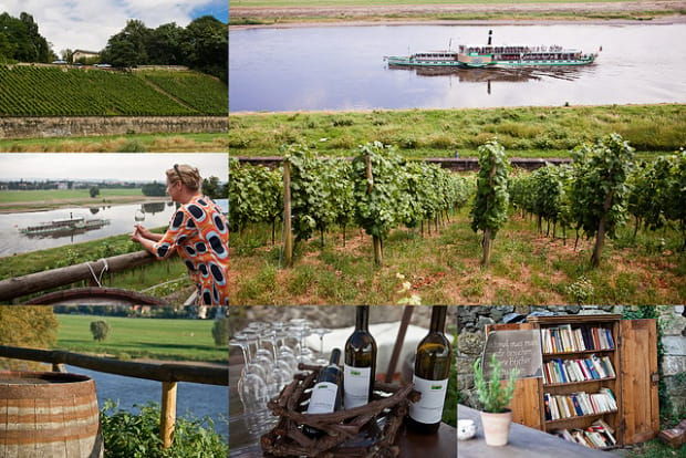 dresden-bike-tour-with-wine-tasting