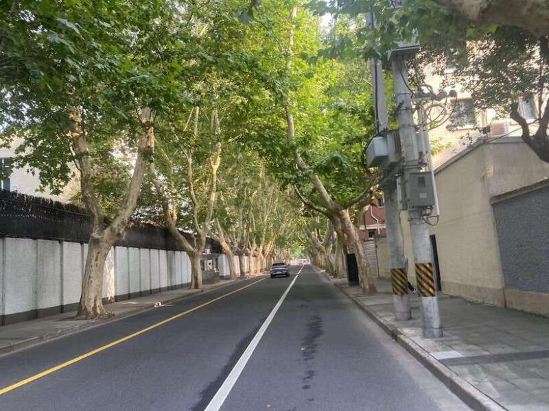 e-bike-adventure-tour-in-shanghai