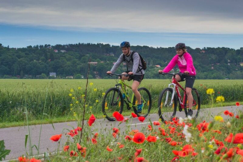 e-bike-day-trip-visit-a-roman-castle-and-taste-craft-beer