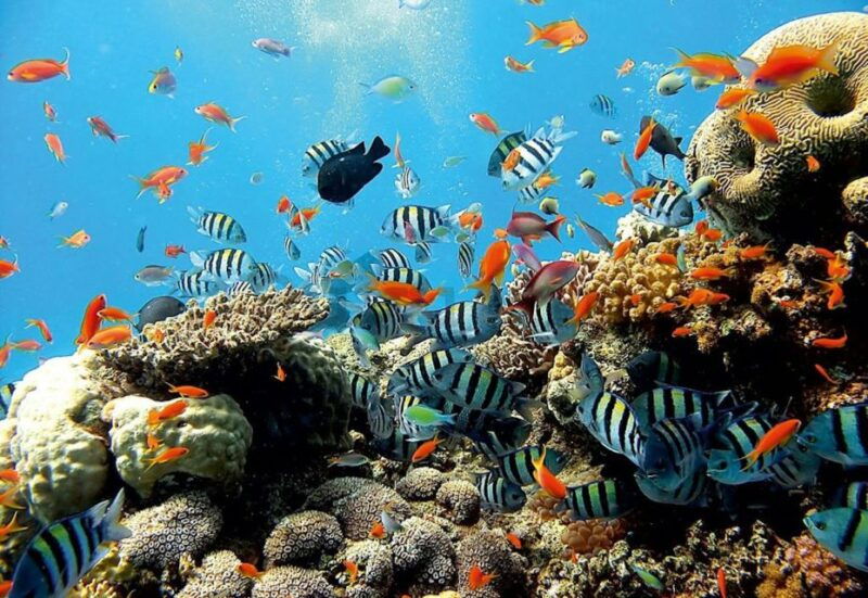 east-bali-snorkeling-canyoning-and-waterfall-day-trip