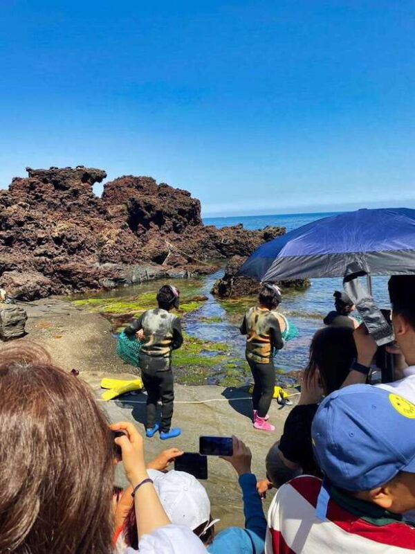 east-jeju-all-inclusive-private-tour-w-taekwondo-show