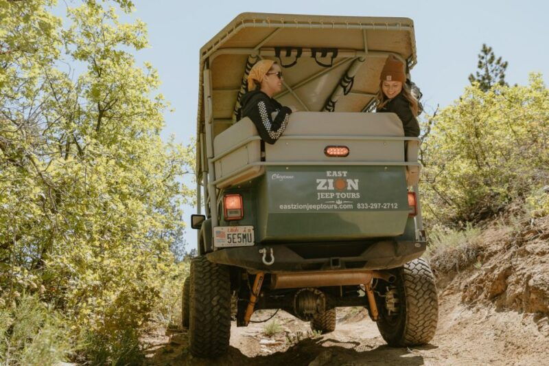 east-zion-1-hour-east-rim-jeep-tour