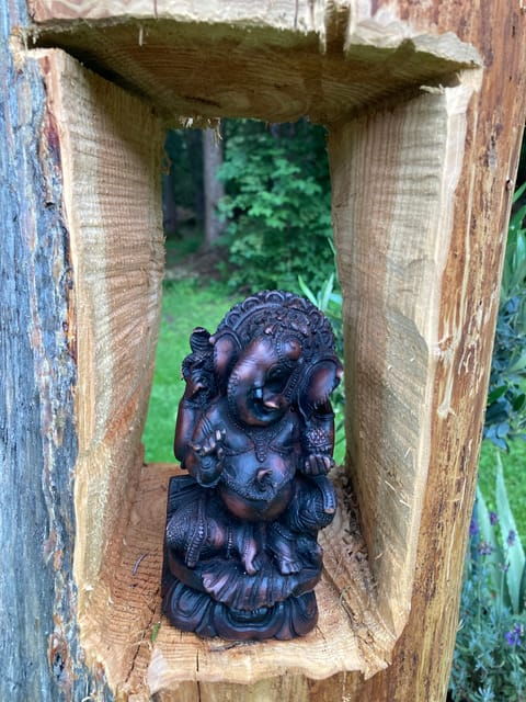 ehrwald-mountain-meets-yoga-tour