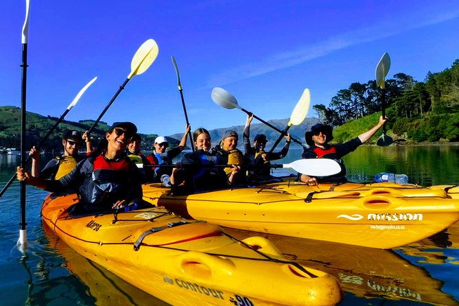 Electric Mountain Bike & Sea Kayak Tour in Akaroa - What Do Reviewers Say?