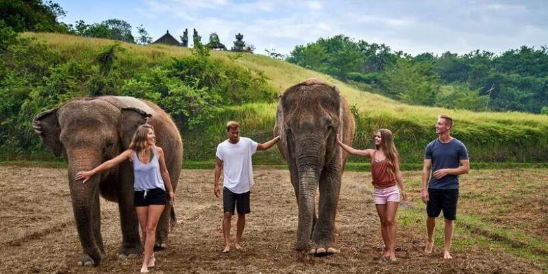 elephant-care-experience-with-mud-bath-at-bali-zoo