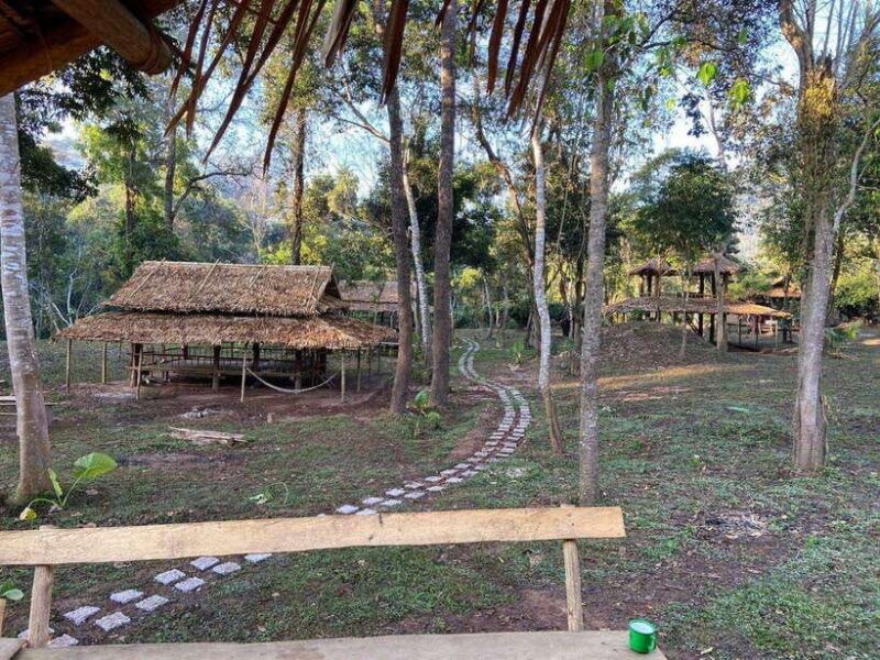 elephant-home-sanctuary-in-muang-thong-sayaboury-laos