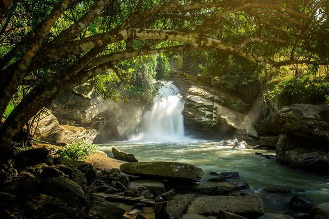 Elephant Sanctuary + Waterfall + Bamboo Rafting One Day Trip - Authentic Experiences and Honest Reviews