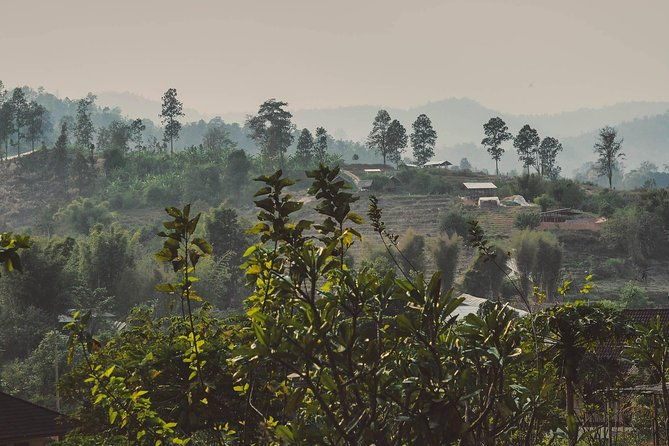 Elephant Sightings , Bamboo Rafting Through The Jungle, Swimming In a Waterfall - Authentic Experiences, Guided by Knowledgeable Locals