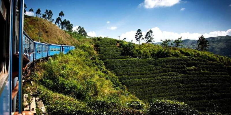 ella-scenic-train-ride-horton-plains-private-tour
