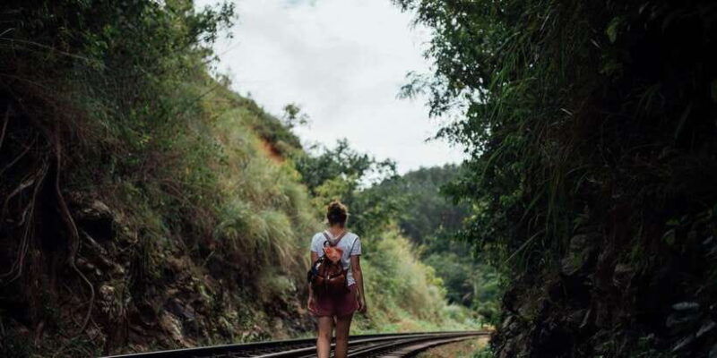 ella-tea-factory-train-and-nine-arch-day-tour-with-pickup