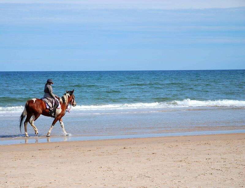 ensenada-horseback-riding-on-the-beach