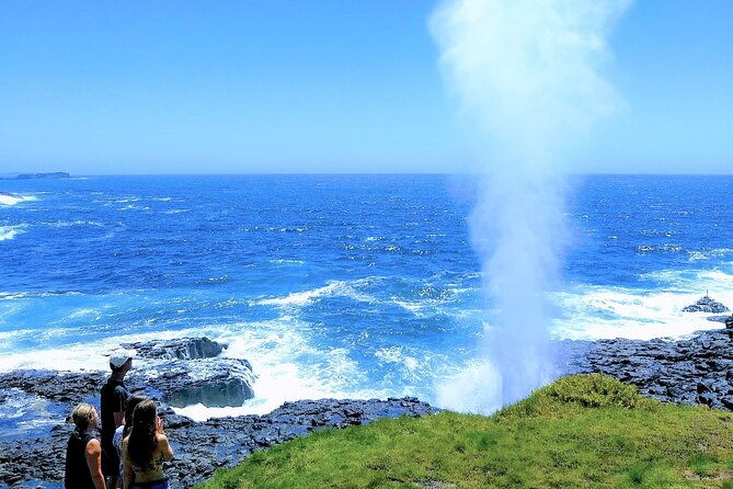 Erupting Blowholes and Ancient Rainforests SOUTH COAST OF SYDNEY PRIVATE TOUR - What Makes This Tour Stand Out