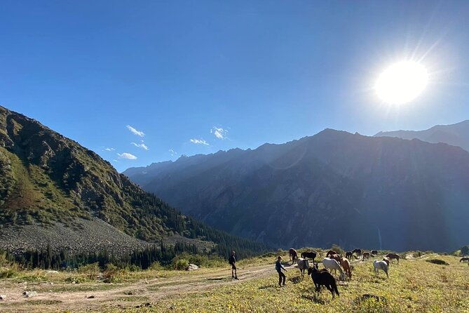 Essential Day Trip to Ala Archa National Park - The Itinerary in Detail