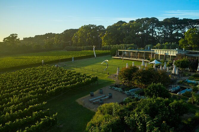 Estate to Plate: Montalto Vineyard Gourmet Lunch and Wine-Tasting Tour - What Sets Montalto Apart