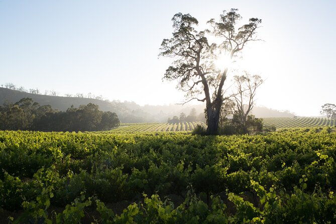 Estate Tour from Soil to Glass - Is It Worth the Price?