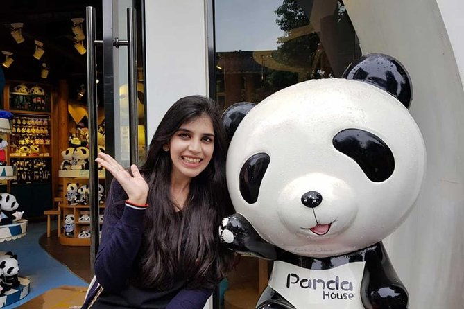 Everything Panda Private Day Tour in Chengdu - The Experience: What You Can Expect