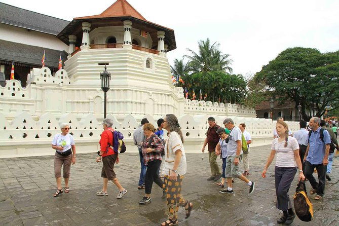 Exclusive : Last Kingdom Private Day Tour in Kandy - The Balance of Value and Experience