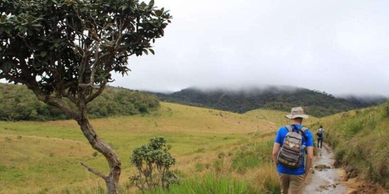exclusive-nuawara-eliya-horton-plains-and-tea-factory-tour