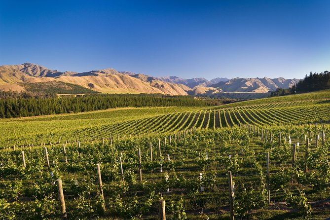 Exclusive Picton Wine & Scenic Adventure: VIP Cruise Experience - Transportation and Group Size