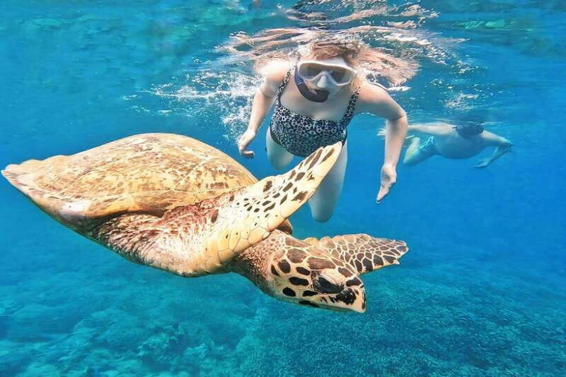 exclusive-snorkeling-experience-to-gili-gede-and-4-gilis