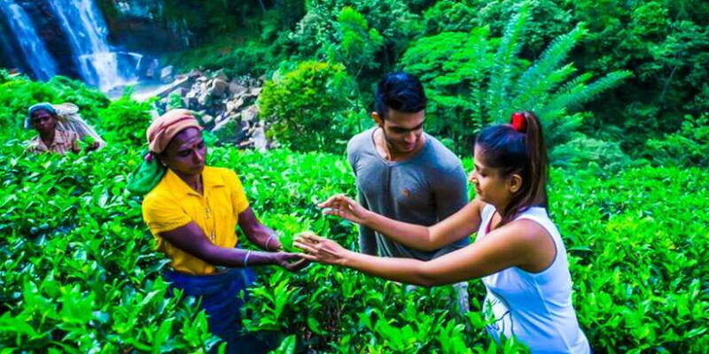 exclusive-village-trekking-tour-at-ramboda
