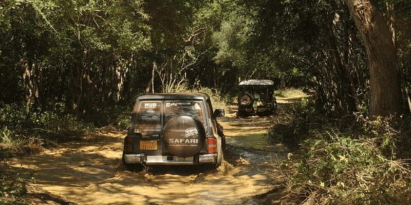 exclusive-wildlife-full-day-adventure-in-wilpattu