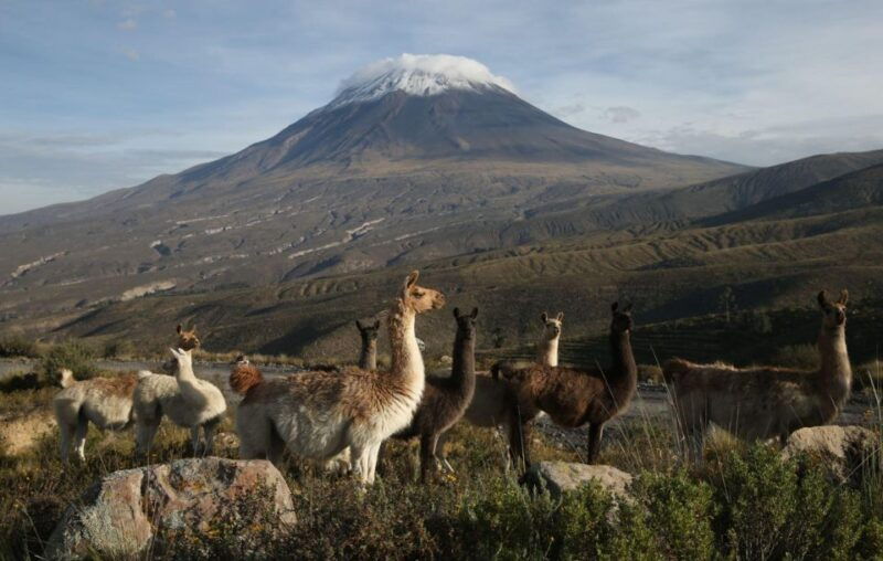 excursion-to-salinas-and-yanaorco-lagoons-lojen-hot-spring