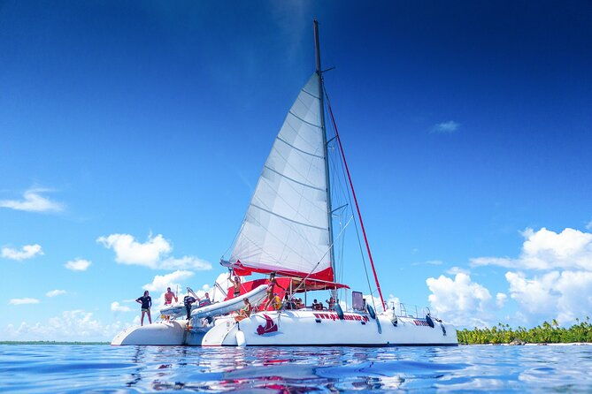 Excursion to Tetiaroa by Catamaran Visit Lunch Snorkeling - What Makes This Tour Stand Out