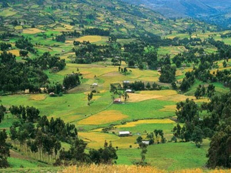 excursion-to-the-ventanillas-de-otuzco-and-tres-molinos-farm