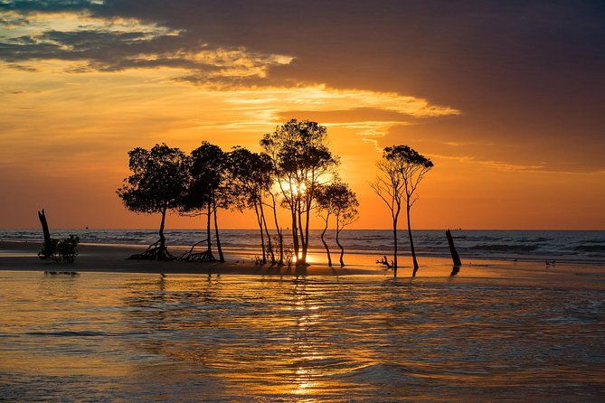 Explore Delightful Darwin: Self-Guided Audio Tour - Who Will Love This Tour?
