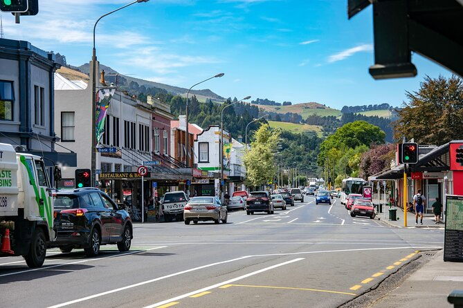 Explore Dunedin: Self-Guided Audio Tour Adventure - What Reviewers Say