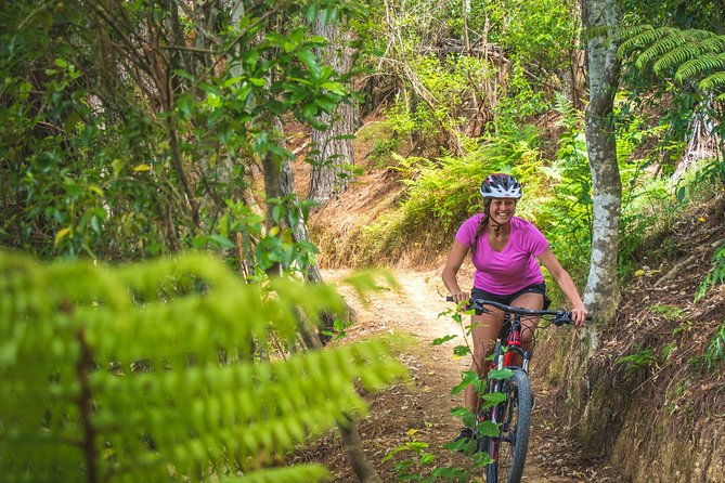 Explore the Waitangi MTB Park on Electric Bikes - The Value of the Experience