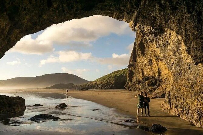 Explore West Auckland with Winery - What’s Included and What’s Not