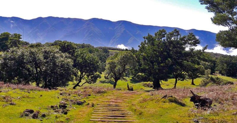 fanal-whistles-levada-walk