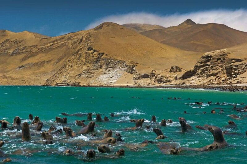 fantastic-peru-lima-ica-cusco-sacred-valley-7-days
